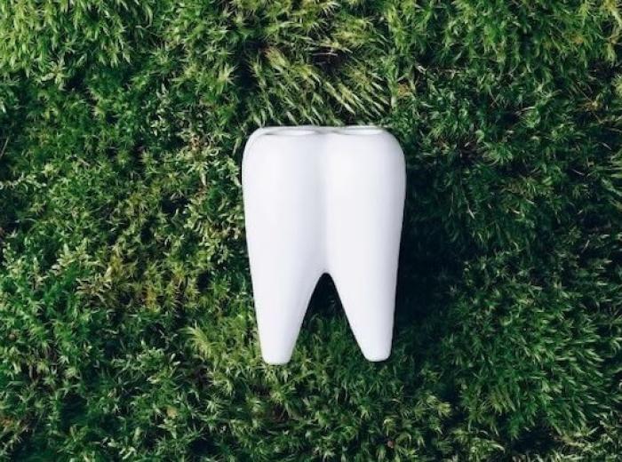 What Is Holistic Dentistry? A Natural Approach to Oral Health